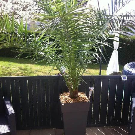 Nocleg ze śniadaniem D Hotes Les Papillons Évron