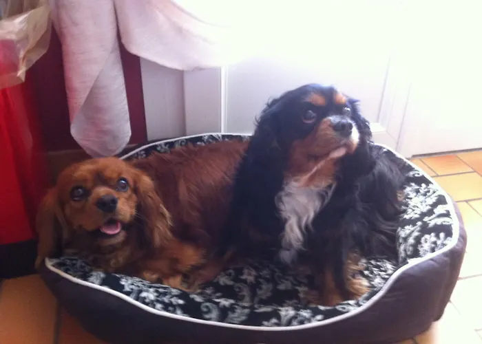 Frühstückspension D Hotes Les Papillons 3*