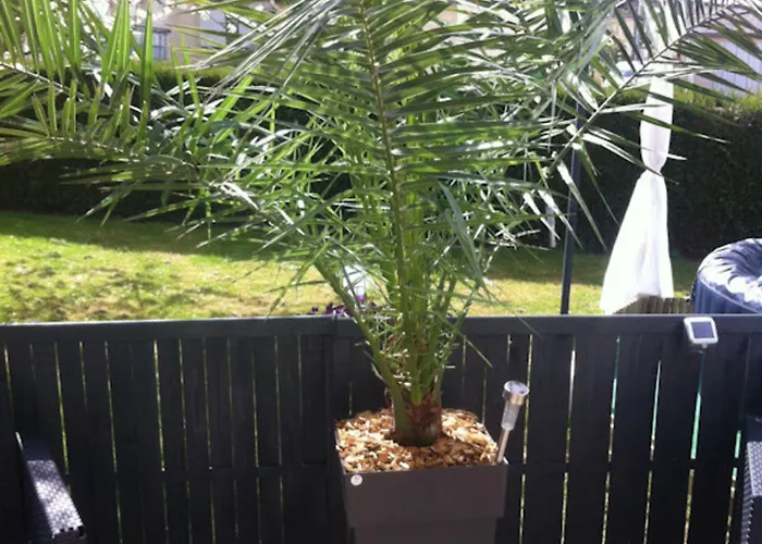 Frühstückspension D Hotes Les Papillons Évron